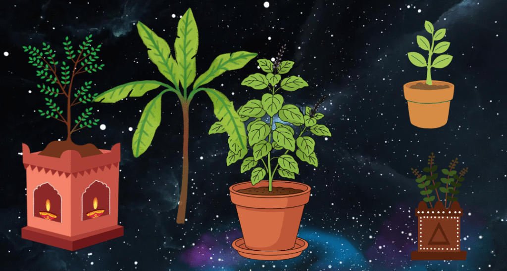 तुलसी विवाह 📖 2. પૌરાણિક કથા, તુલસી વિવાહ માટે પૂજન વિધિ, મંત્રો, (1)